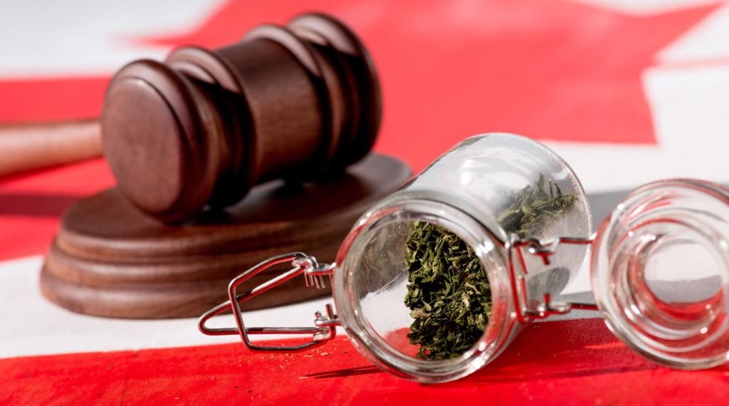 Decriminalization of Marijuana is Approved by the House of Representatives